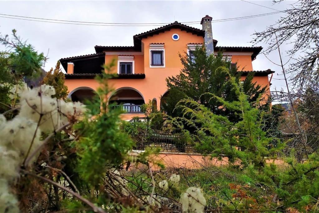 Zákas Villa Tethys Mountain Resort מראה חיצוני תמונה
