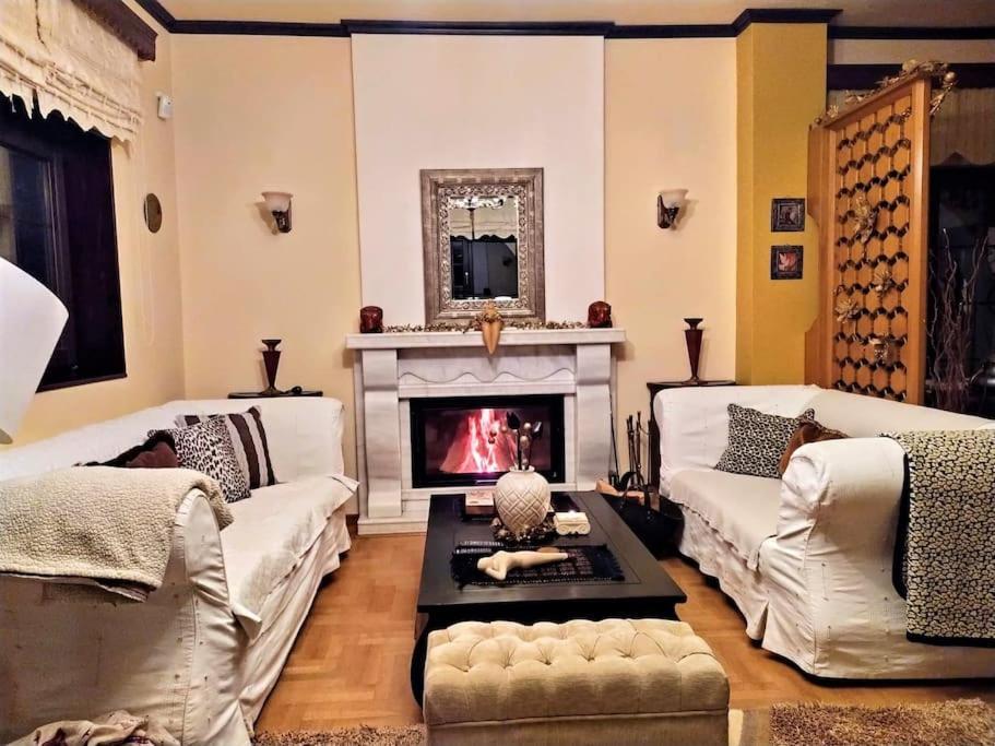 Zákas Villa Tethys Mountain Resort מראה חיצוני תמונה