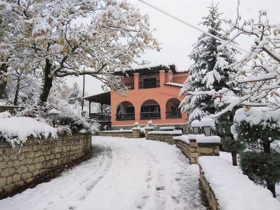 Zákas Villa Tethys Mountain Resort מראה חיצוני תמונה